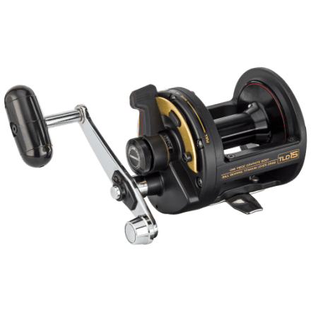 PENN Squall II Star Drag Conventional Reel | Bass Pro Shops