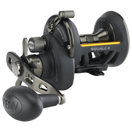 PENN Squall II Star Drag Conventional Reel | Bass Pro Shops