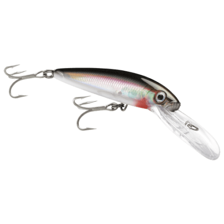 best weight fly fishing pole Fishing for Beginners: How to Choose the Right Fly Rod