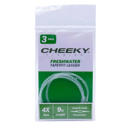 RIO AgentX Fly Line Cleaning Kit | Bass Pro Shops Canada