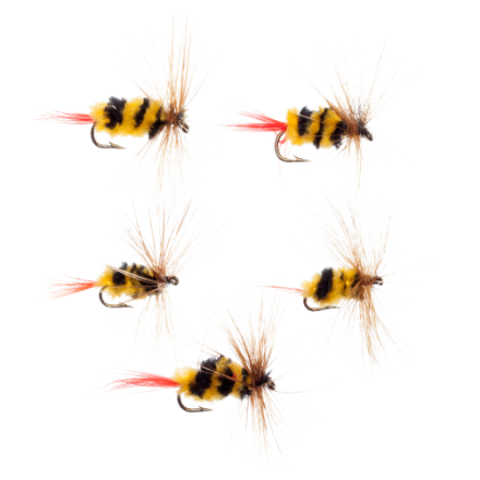 beatles fly fishing lure Pyramid Lake Cyclops Popcorn Beetle (4-Pack)  Trout Trap Flies K & E Stopper Lures