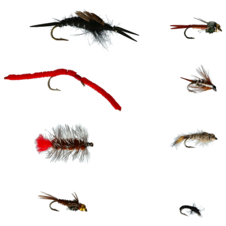 bass pro nymph lure BASSDASH Fly Fishing Flies Kit Fly Assortment Trout Fishing with Fly Box with Dry/Wet Flies, Nymphs, Streamers, Popper : Sports & Outdoors or as part of a single White River Fly Shop 10-Piece