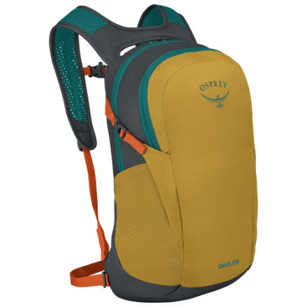 do thr tumi backpacks work as purses New work bag