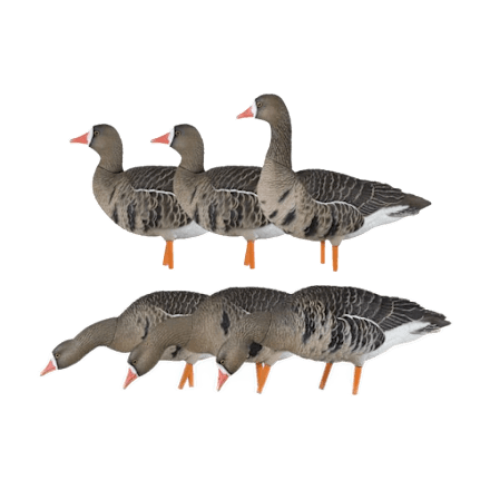 パーツ avian parus 130mm 360mm 262g Avian-X® AXP Specklebelly Fusion Pack | Bass Pro Shops Canada