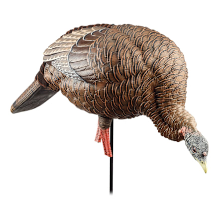 Avian-X HDR Feeding Hen Turkey Decoy – Ultra-Realistic Lifelike Hunting Decoy With Carry Bag (AVX8107)