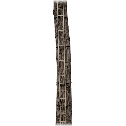 API Outdoors® Alumi-Tech® 20' QuikStik™ | Bass Pro Shops Canada