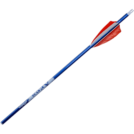 Gold Tip Lightning Youth Arrows | Bass Pro Shops
