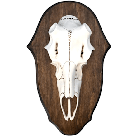 Mountain Mike's Plaque Master Antler Mounting Kit - Plaque Mount Kit