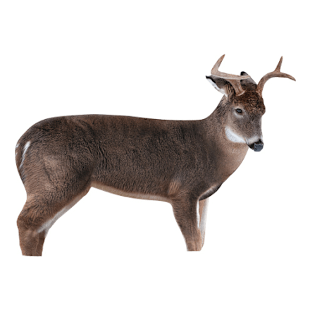 Montana Decoy Whitetail Dream Team Decoy Combo