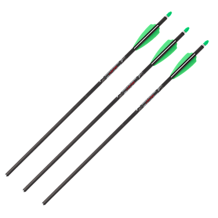 TenPoint Pro Elite 400 Select Lighted Carbon Bolts | Cabela's