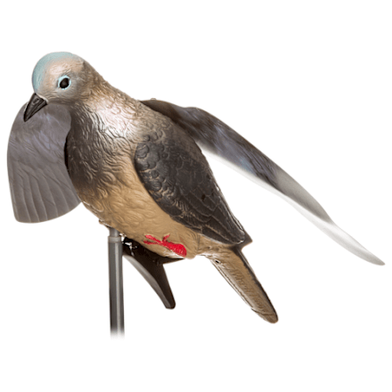 Avian-X Full-Body Dove Decoys | Bass Pro Shops