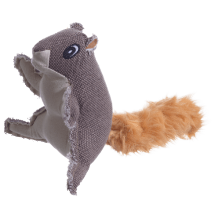 Squirrel dog training supplies new arrivals