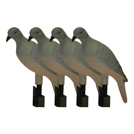 Avian-X Full-Body Dove Decoys 4-Pack | Bass Pro Shops