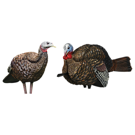 Avian-X LCD 1/2 Strut Jake and Breeder Hen Turkey Decoy Combo