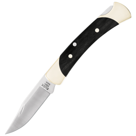 Buck 110 Folding Hunter Knife