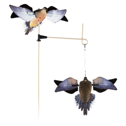  バード　 Dove Avian-X Full-Body Dove Decoys | Bass Pro Shops