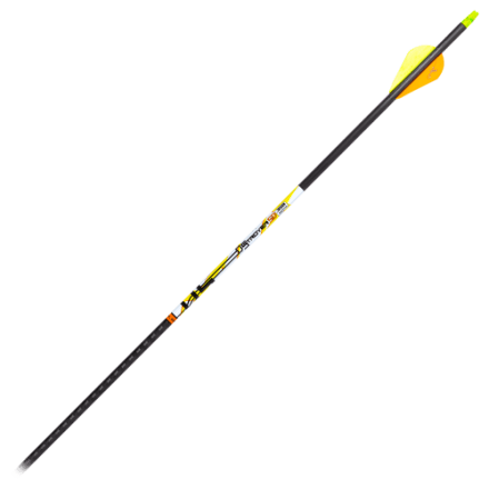 Easton XX75 Genesis NASP Arrows | Bass Pro Shops