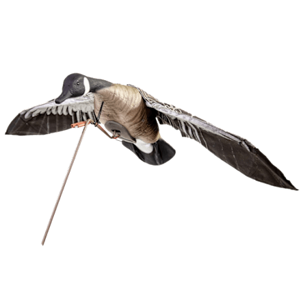 GHG Pro Grade XD Canada Goose Decoys 4 Pack | Mack's PW