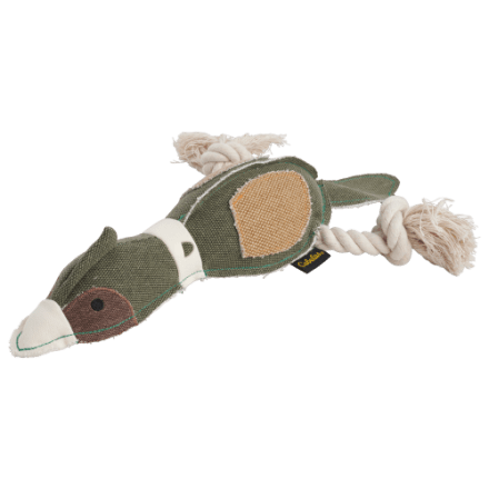 Cabela's dog training supplies shop