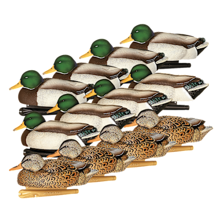 thumbnail image 2 of Avian X Topflight Black Ducks Decoys With Flocked Bodies, Realistic Paint Scheme 2 of 11