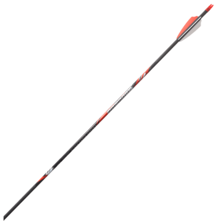 10 Flèches Gold Tip Pierce Tour 600 - Occasion Comme Neuves, Utilisées Une Seule Fois, Tir à L'arc