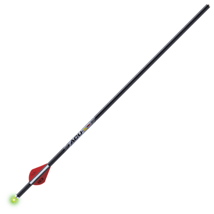 TenPoint Pro Elite 400 Select Lighted Carbon Bolts | Bass Pro Shops
