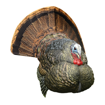 RedHead Reality Series Crazy Jake Turkey Decoy