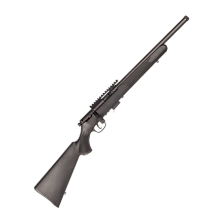 Savage Arms B17 FV-SR Bolt-Action Rimfire Rifle | Cabela's