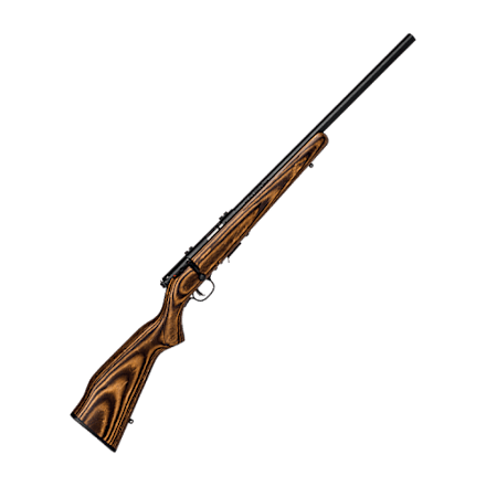 Savage Arms B17 FV-SR Bolt-Action Rimfire Rifle | Cabela's