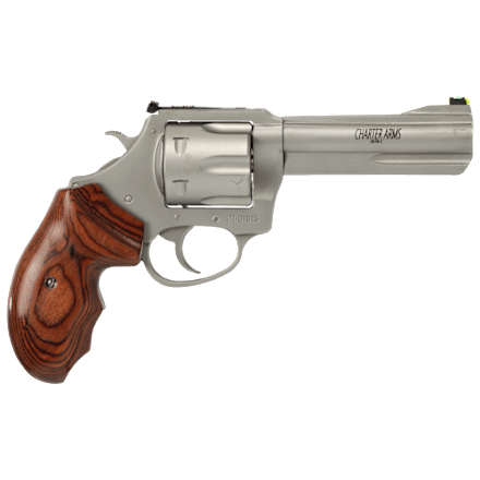 Charter Arms The Professional Stainless Steel Single/Double-Action