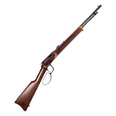 Henry Golden Boy Silver Lever-Action Rimfire Rifle with Father's
