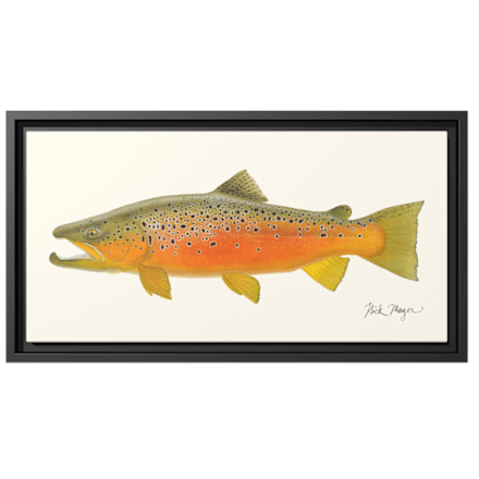 Nick Mayer Brook Trout Framed Canvas | Cabela's