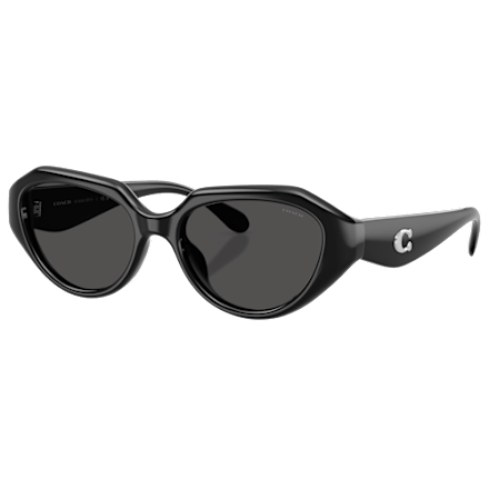 COACH HC8439U Sunglasses for Ladies | Mack display picture 1