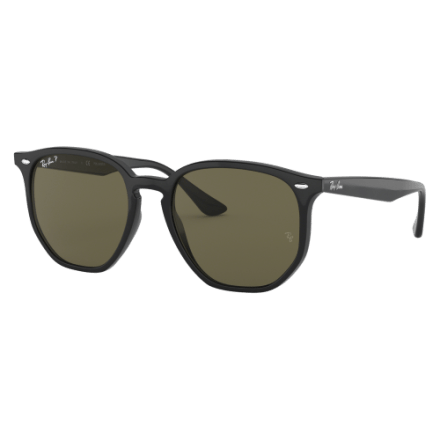 Ray-Ban RB4306 Polarized Sunglasses | Cabela display picture 1