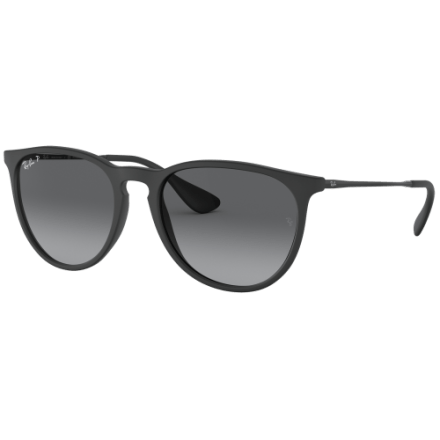 Ray-Ban Sunglasses | Bass Pro Shops
