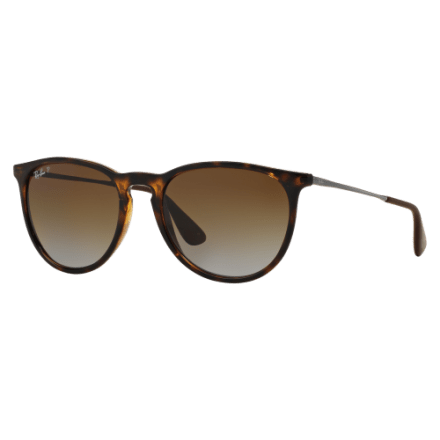 Ray-Ban Erika Classic RB4171 Polarized Sunglasses | Cabela's