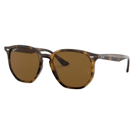 Ray-Ban RB4306 Polarized Sunglasses | Cabela display picture 2