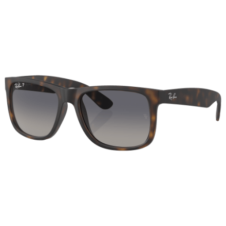 Ray-Ban Justin Classic RB4165 Polarized Sunglasses | Bass  display picture 1