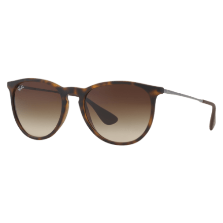 Ray-Ban Erika RB4171 Classic Sunglasses | Bass Pro Shops