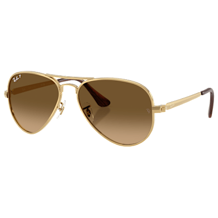 Ray-Ban Aviator Max RB3925 Glass Sunglasses | Mack display picture 1