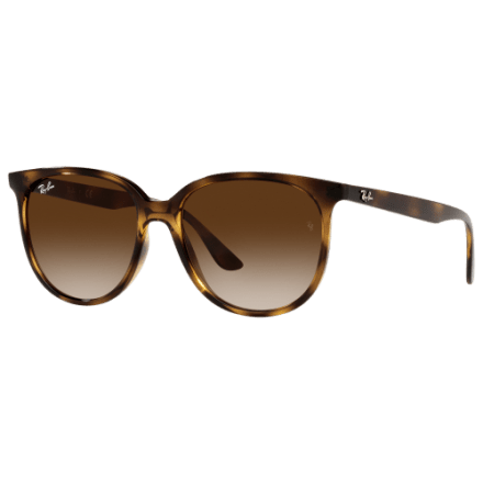 Ray-Ban RB4378 Gradient Polarized Sunglasses for Ladies  display picture 3