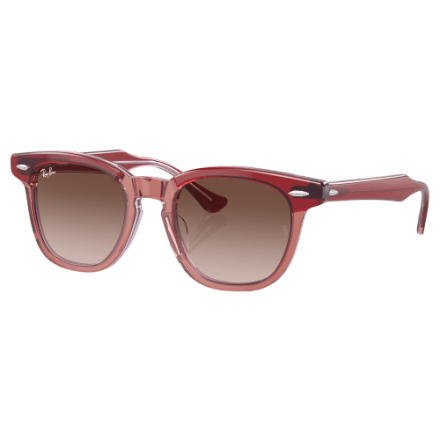 Ray-Ban Kids Brown Frame with Pink Temple Wayfarer Sunglasses Sunglasses Ray-Ban RB9052S New Wayfarer Kids Summer Capsule  main image 3