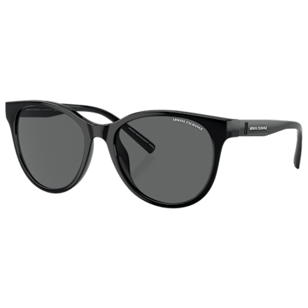 Armani Exchange AX4164SU Sunglasses for Ladies | Mack display picture 1