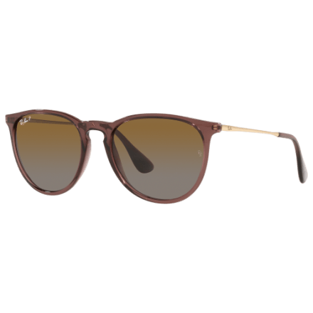 Ray-Ban Erika RB4171 Classic Sunglasses | Bass Pro Shops