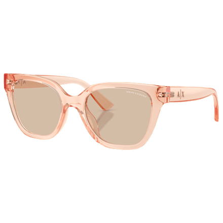Armani Exchange AX4164SU Sunglasses for Ladies | Mack display picture 1