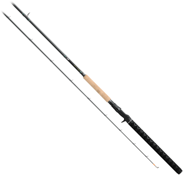 Bass Pro Shops Fish Eagle Salmon/Steelhead Spinning Rod
