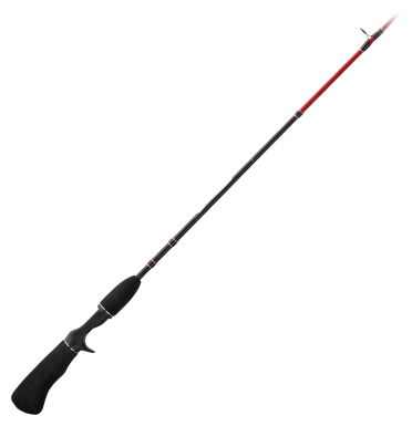 Bass Fishing Rods