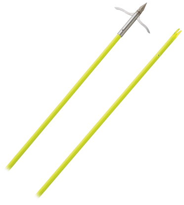 Muzzy 3 Barb Iron Arrow – Force Feed'em Bowfishing