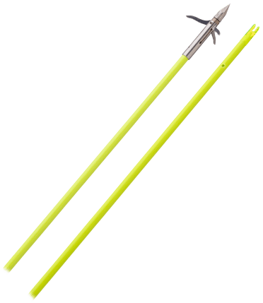 Muzzy Bowfishing Arrow Iron 3-Blade w/ Chartreuse Arrow 1039 - Farmstead  Outdoors