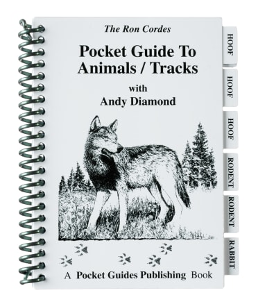  Pocket Guides - Emergency First Aid - First Aid - Guide to  Emergency First Aid - Betty Cordes - Ron Cordes : Health & Household